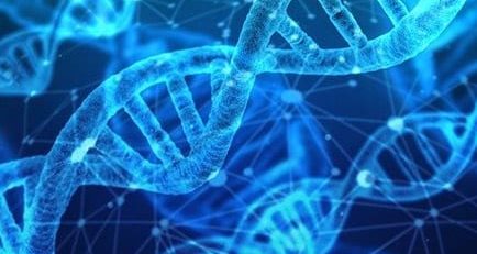 New Study Finds Endometriosis Linked to DNA in Uterine Cells