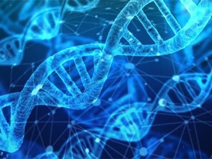 New Study Finds Endometriosis Linked to DNA in Uterine Cells