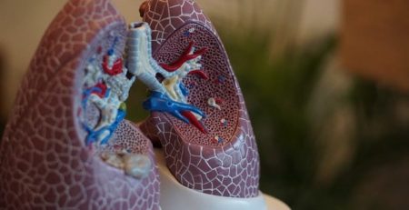 Scientists Use 3D-printing Technology to Apply Sensors to Moving Lung