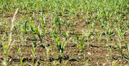 Nitrous Oxide is a Growing Concern for Climate Change