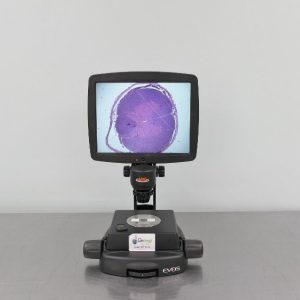 Digital inverted microscope video