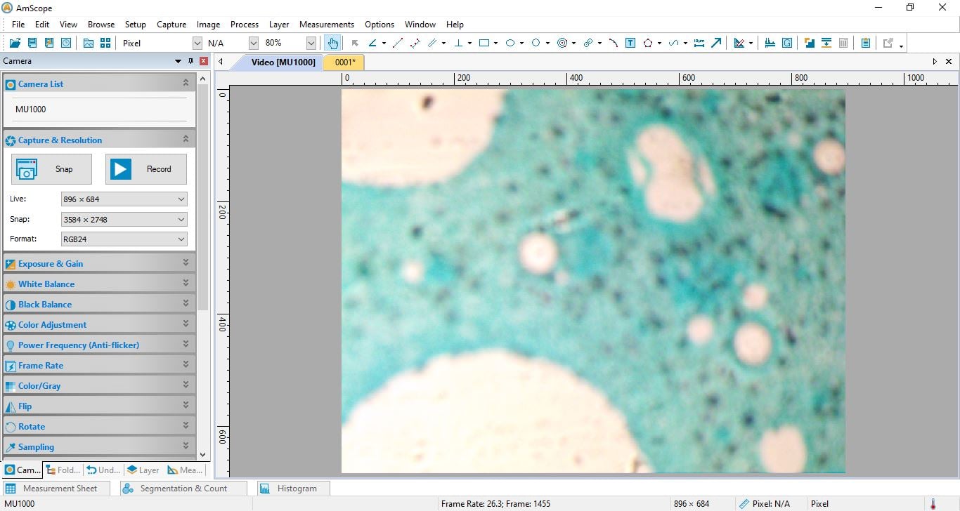 Nikon Confocal Microscopy Nikon Nis Elements Software NIS-Elements