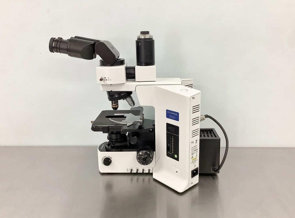 Olympus BX51 Microscope