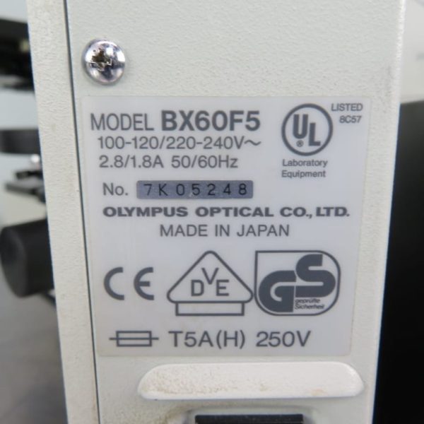 Olympus BX60 Upright Compound Microscope