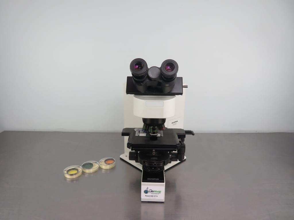 Olympus BX60 Upright Compound Microscope