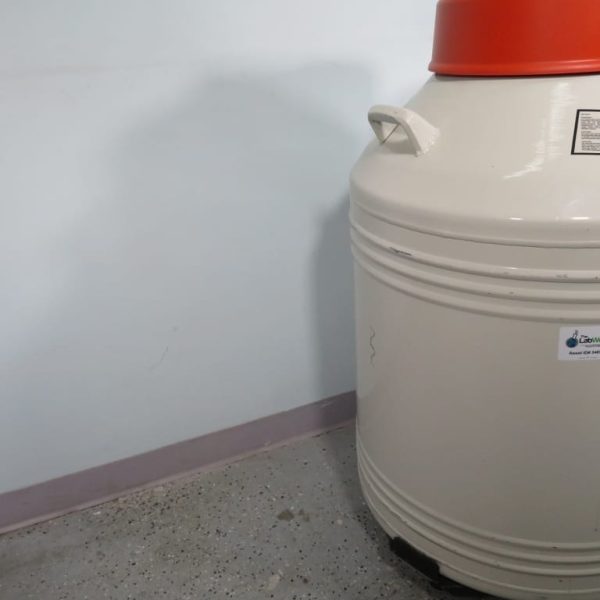 Thermo Locator 6 Plus Liquid Nitrogen Dewar