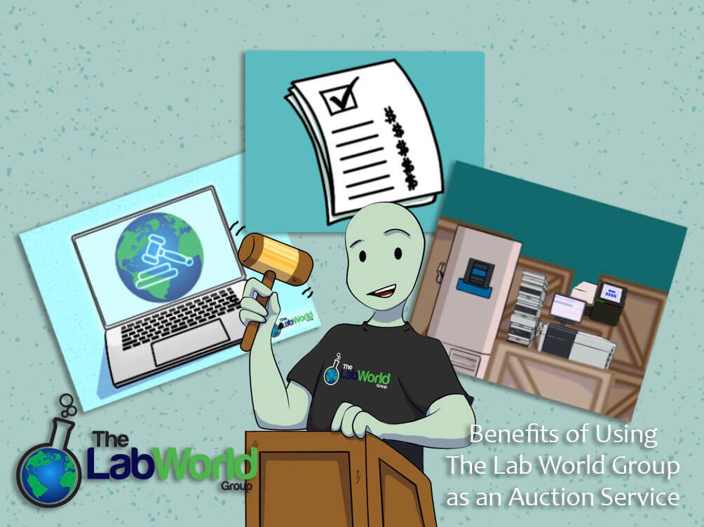 The-Lab-World-Group-Auction-Service