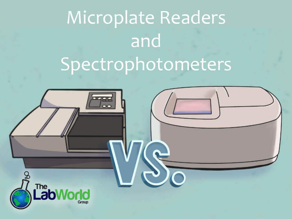 microplate reader vs spectrophotometer