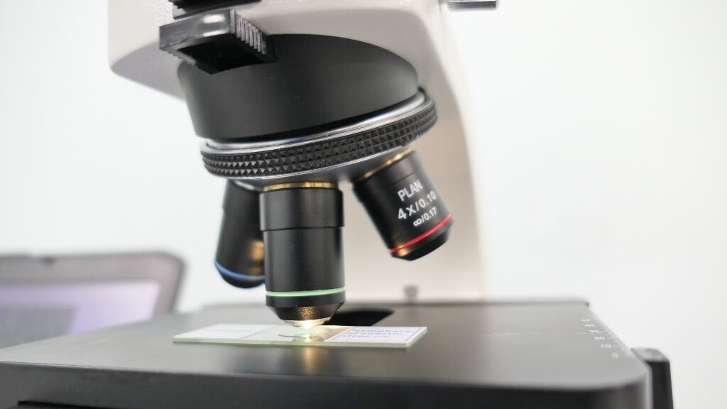 Microscope Master Fisher Micromaster Compound Microscope - The Lab World Group