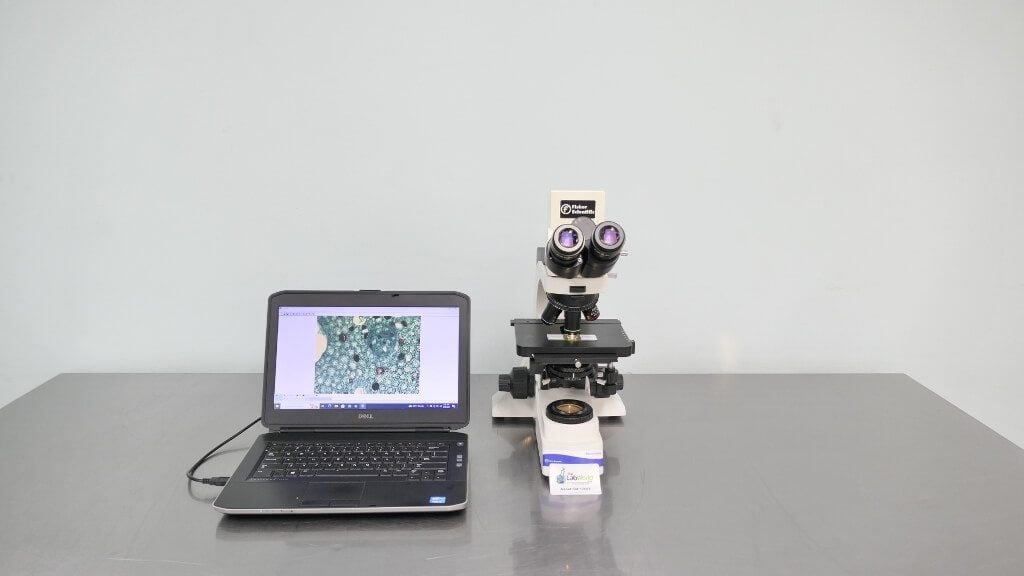 Microscope Master Fisher Micromaster Compound Microscope - The Lab World Group