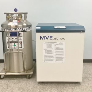 MVE xlc 1200 liquid nitrogen freezer video 26725