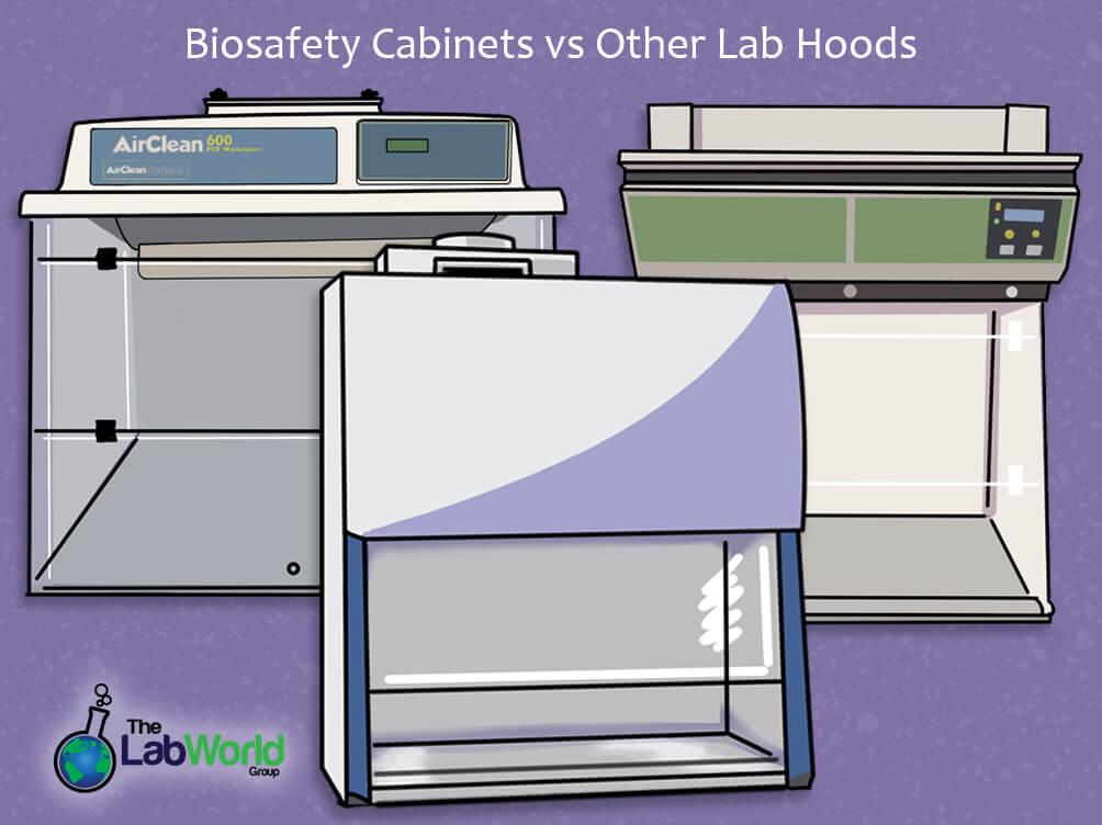 lab hood types