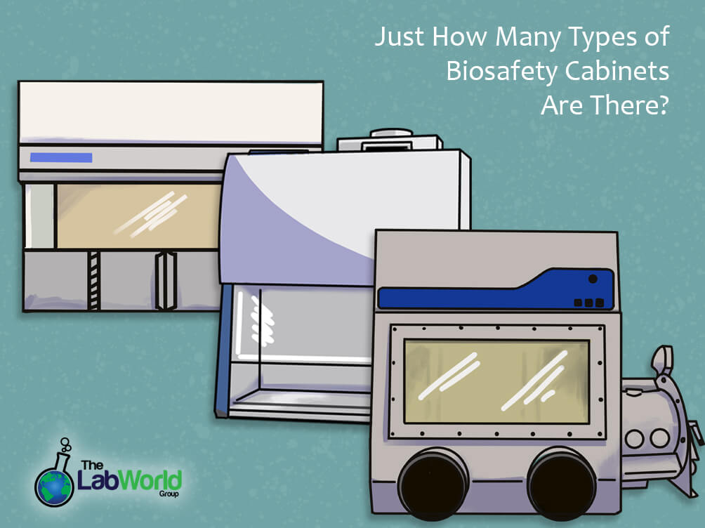 types of biological safety cabinets