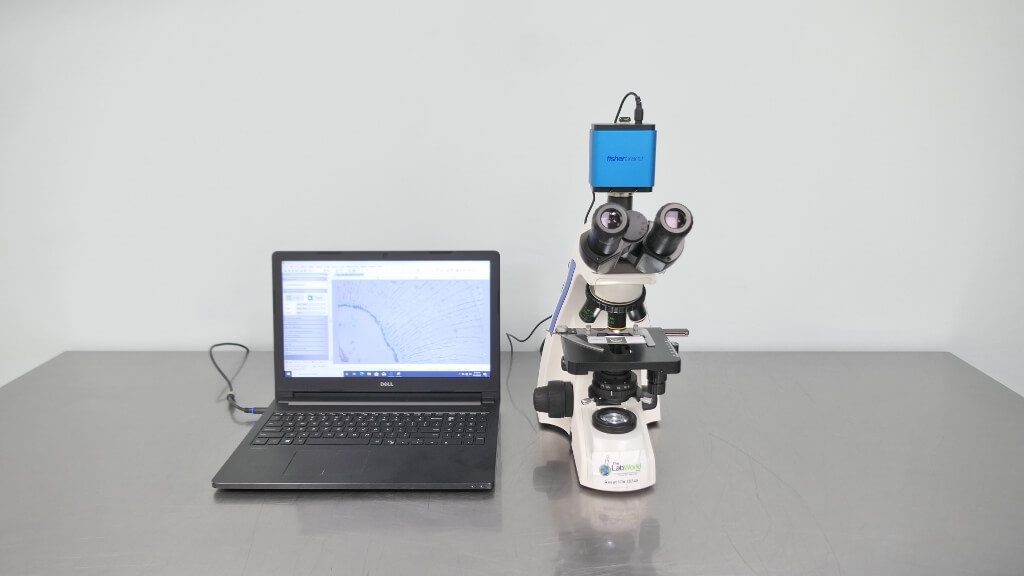 Fisher Scientific Microscope The Lab World Group