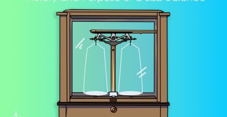 Lab balance history
