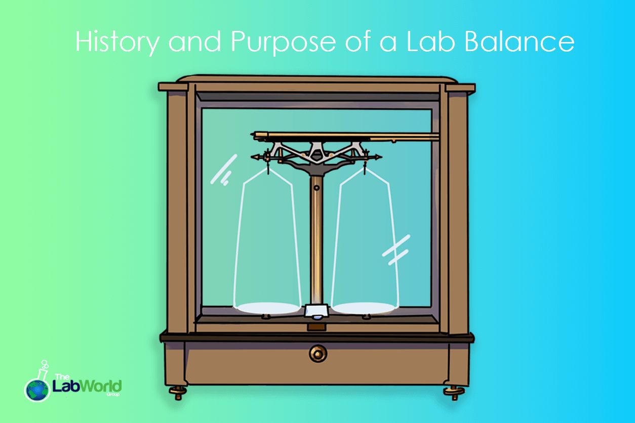 Lab balance history