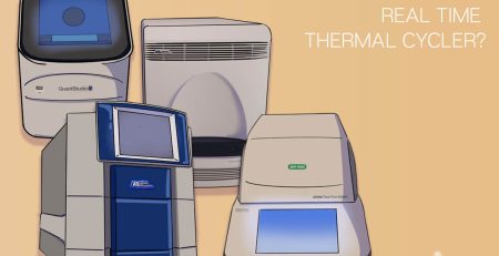 Real-time thermal cyclers