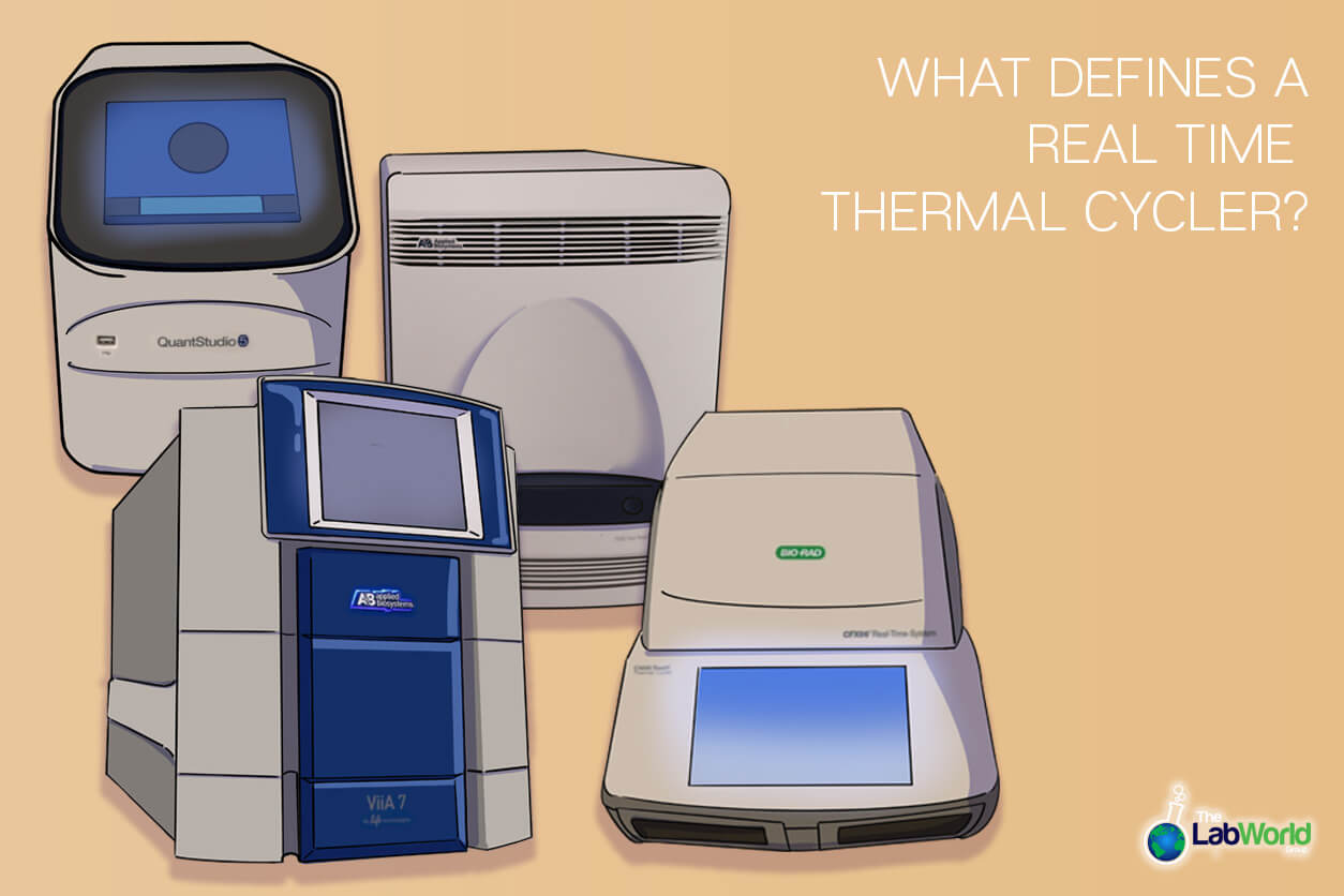 Real-time thermal cyclers