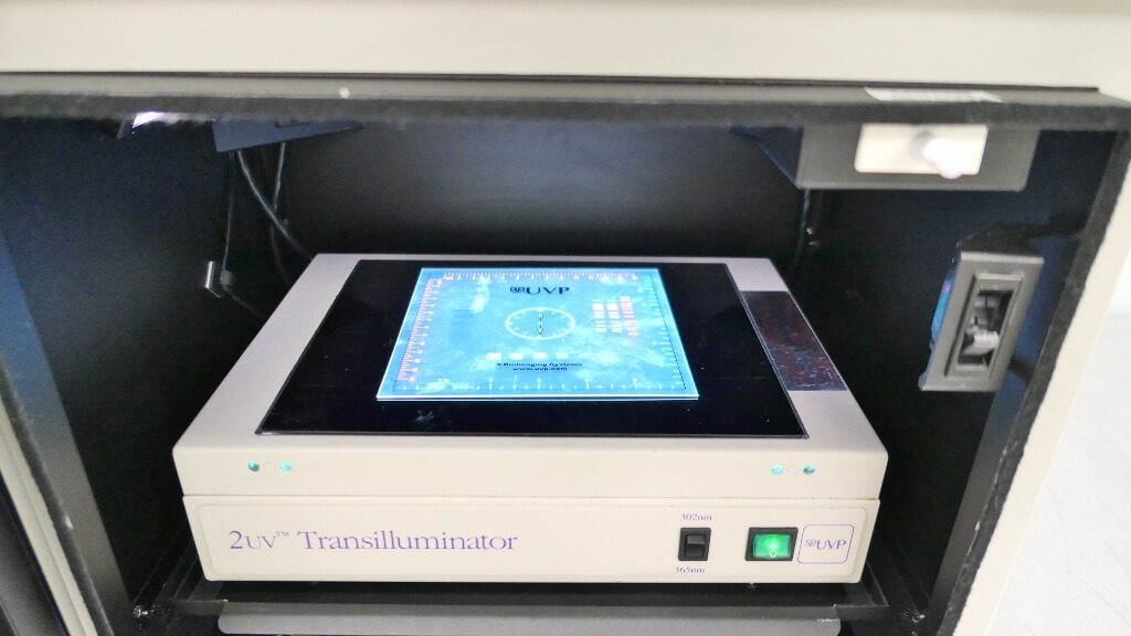 UVP Gel Doc System The Lab World Group