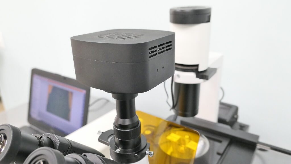 AmScope Fluorescence Microscope The Lab World Group