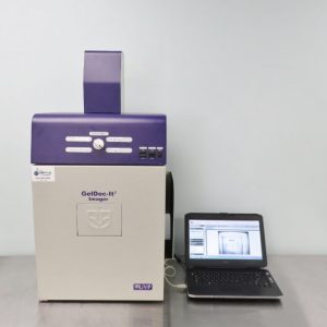 UVP 310 gel doc video