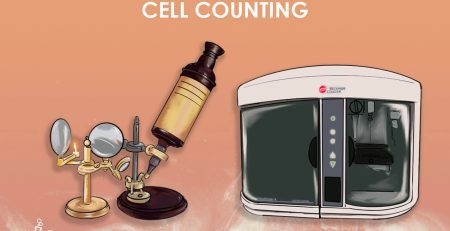 A history of cell counting