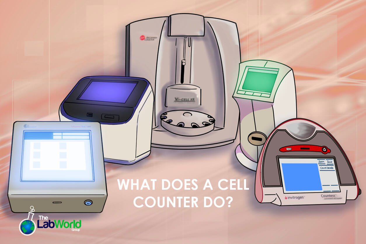 What does a cell counter do