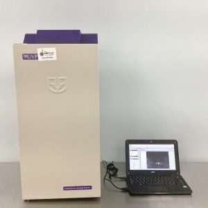 Chemidoc imaging system video