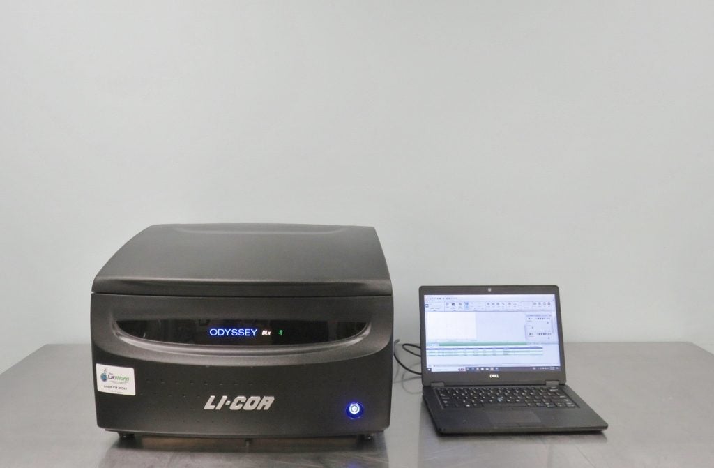 LiCor Odyssey DLx Imager - The Lab World Group