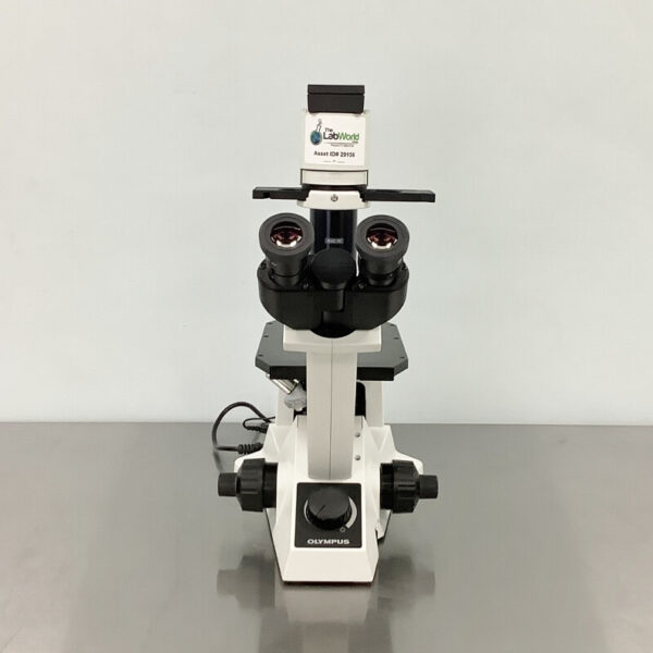 Olympus CKX31 Inverted Phase Contrast Microscope