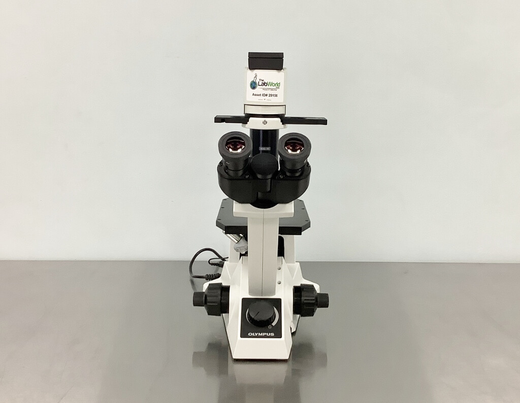 Olympus CKX31 Inverted Phase Contrast Microscope