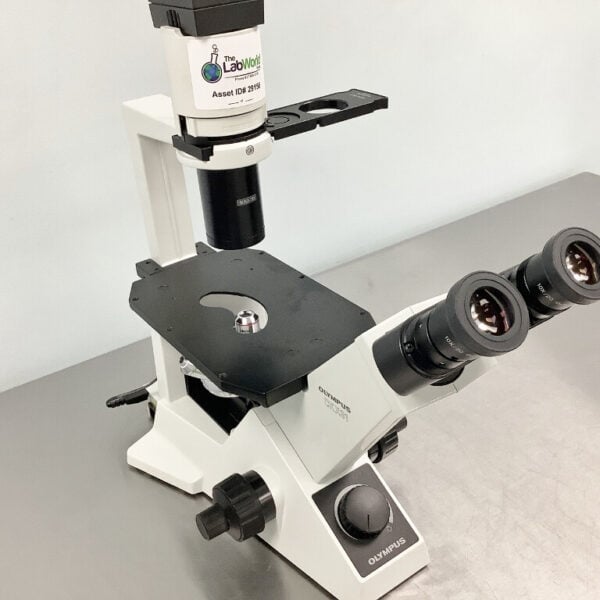 Olympus CKX31 Inverted Phase Contrast Microscope