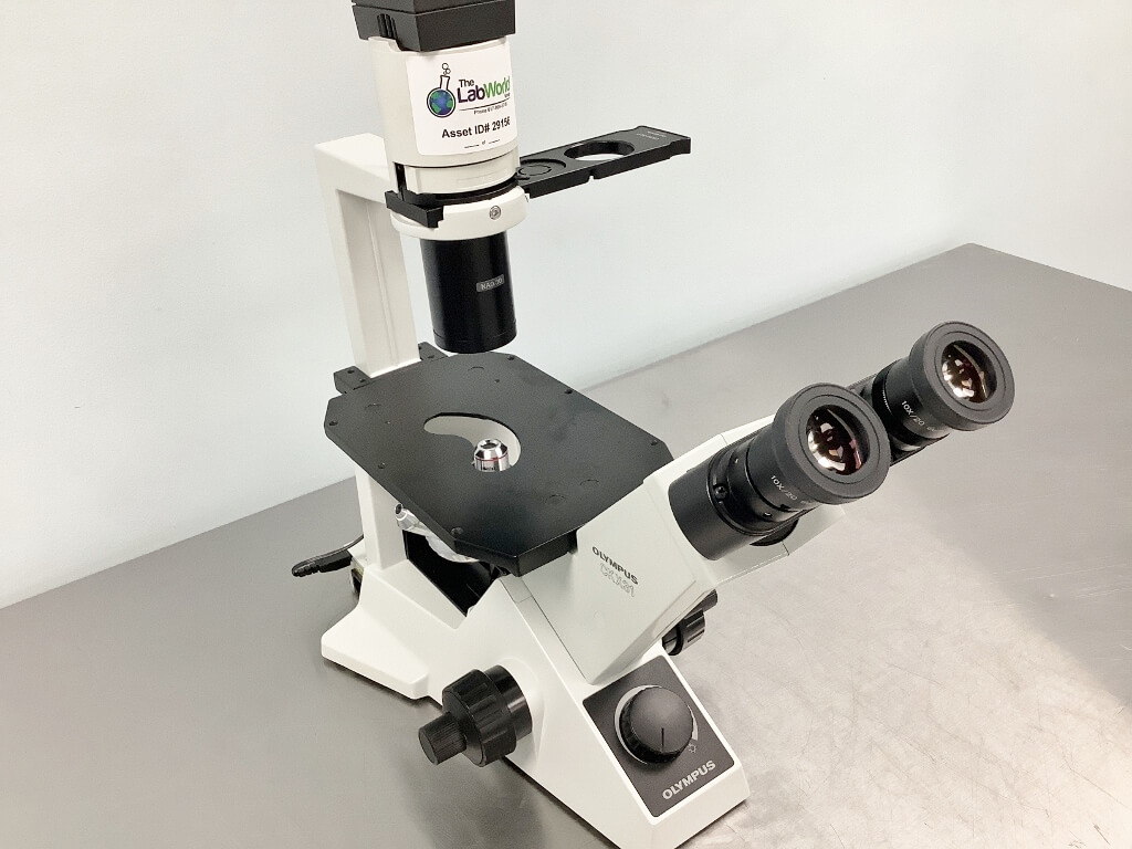 Olympus CKX31 Inverted Phase Contrast Microscope