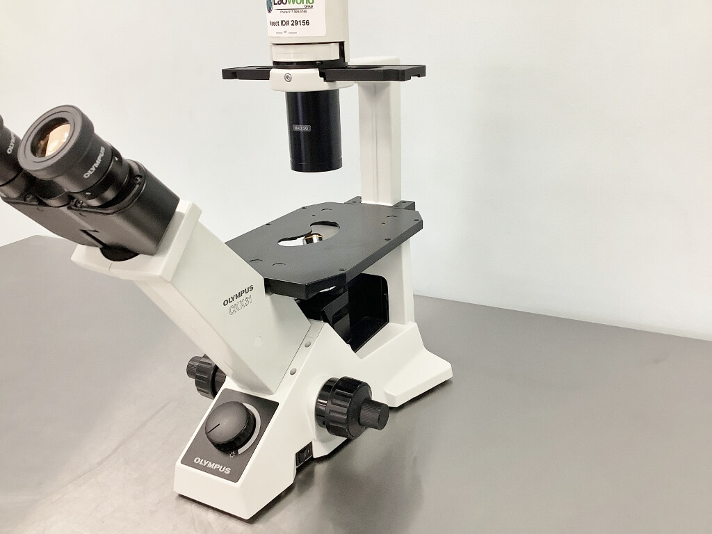Olympus CKX31 Inverted Phase Contrast Microscope