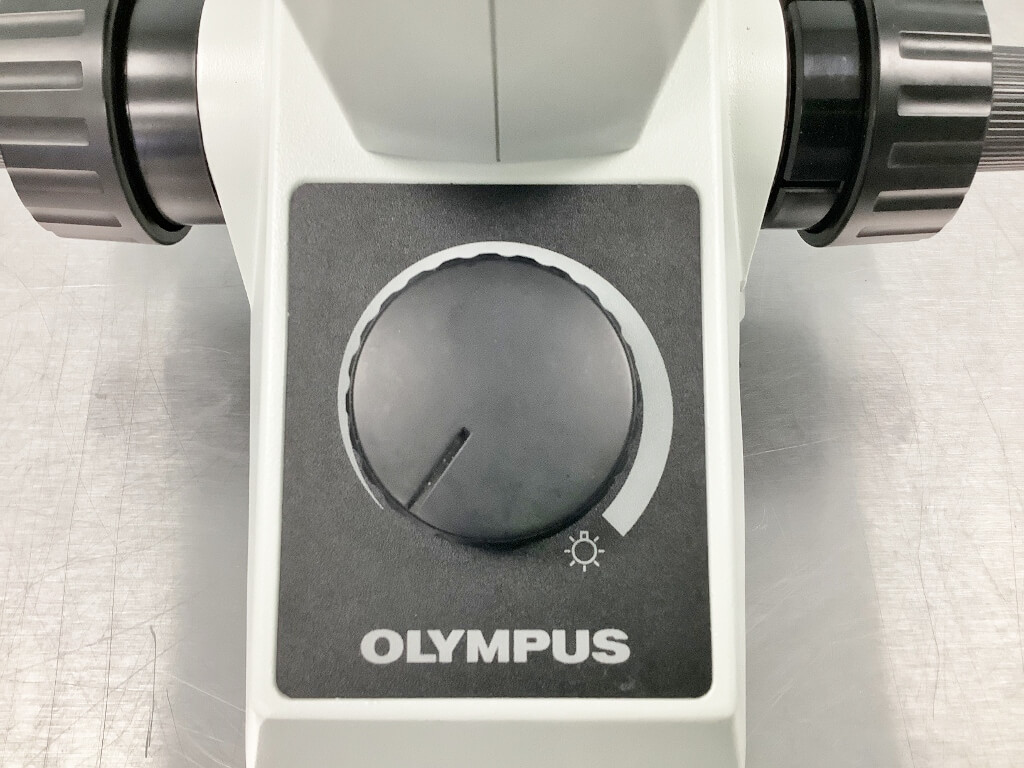 Olympus CKX31 Inverted Phase Contrast Microscope