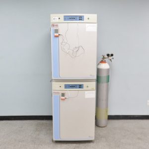 Thermo 370 incubator