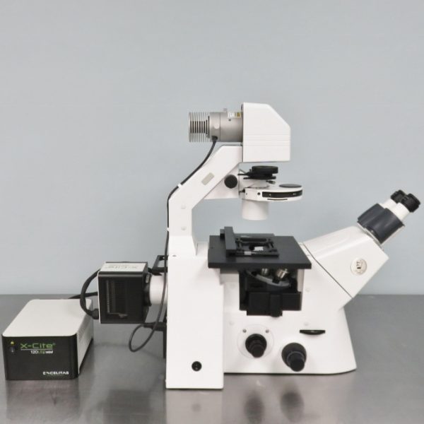 Zeiss Axio Observer 3 Fluorescence Microscope - TLWG Zeiss Axio Observer 3 Fluorescence Microscope - TLWG