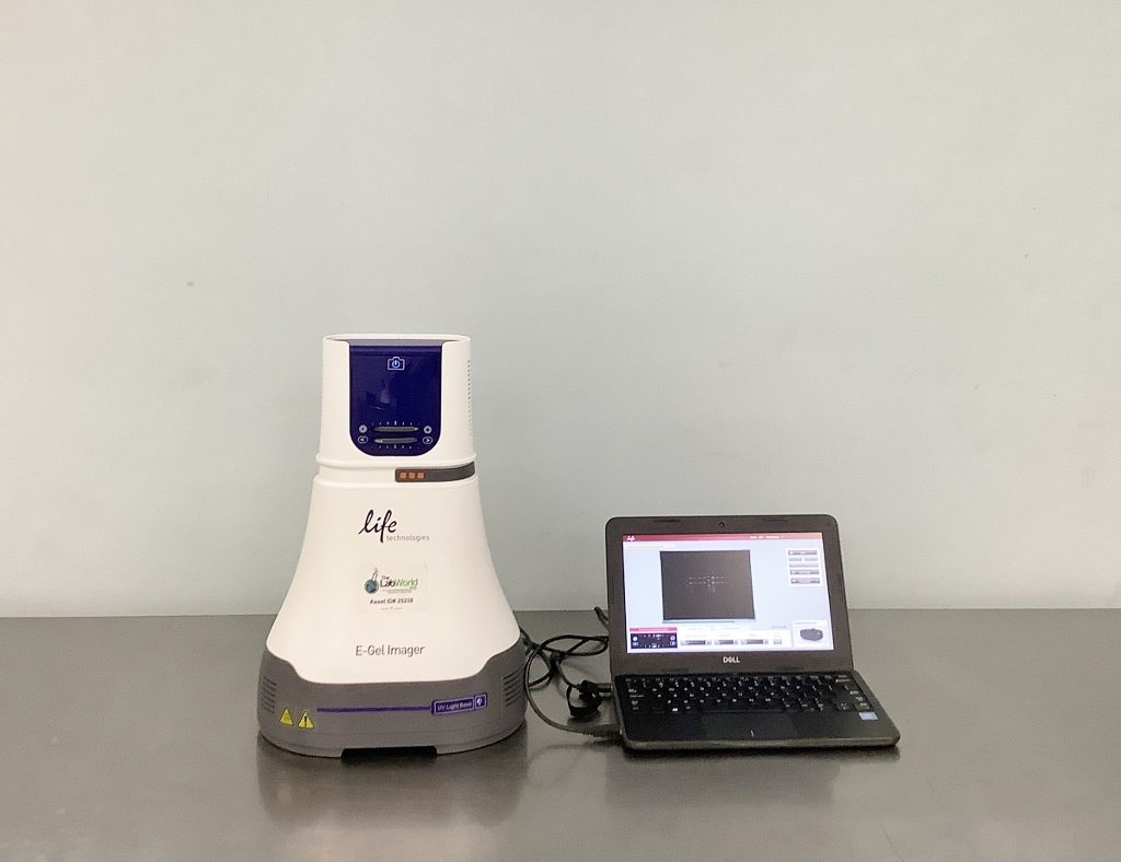 gel-imager-25238.jpg
