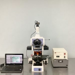 Nikon eclipse e800 fluorescence microscope video 24583