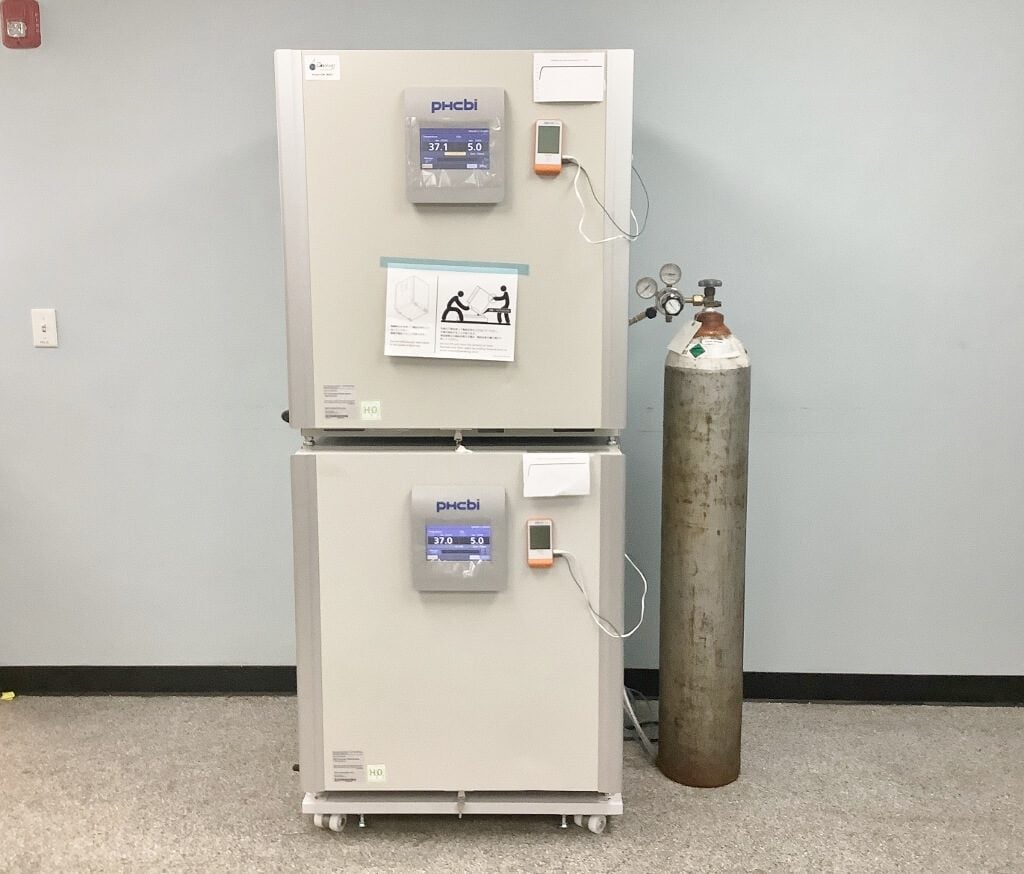 PHCBi CO2 Incubator - 2024 Unused - The Lab World Group