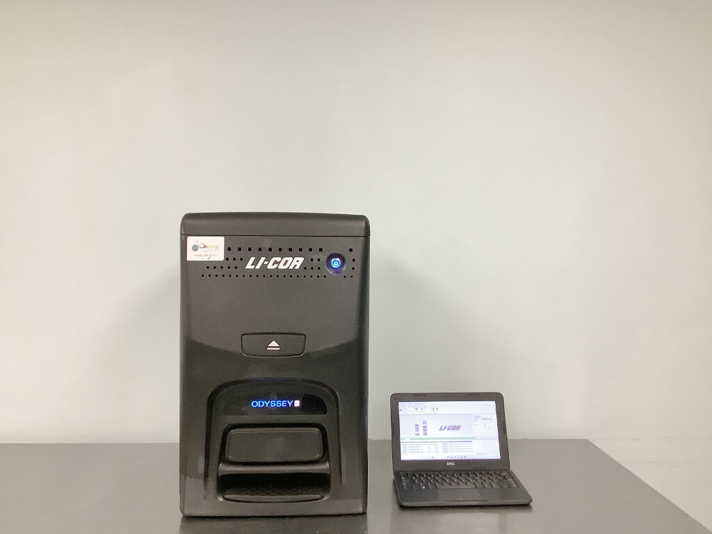 Licor Machine Licor Odyssey FC Imaging System - The Lab World Group