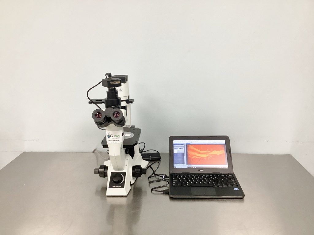 olympus-ckx41-microscope-26263.jpg