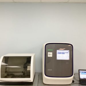Quantstudio 12k flex