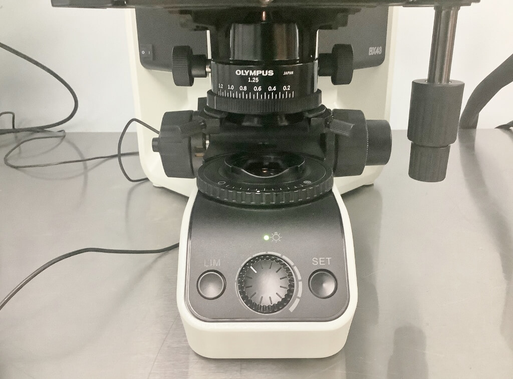 Lab Microscope Bx43f Olympus BX43F Fluorescence Microscope - The Lab World Group