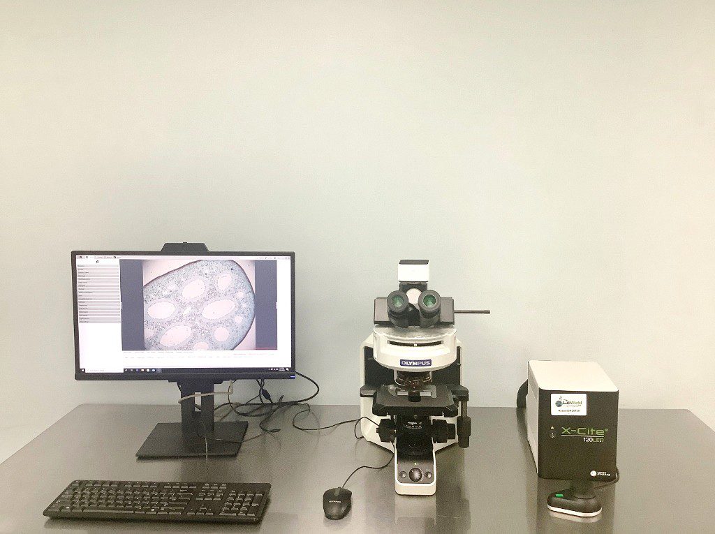 biora様 Olympus BX43 Clinical Microscope | Fully Customizable – Microscope