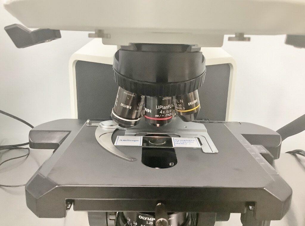 Lab Microscope Bx43f Olympus BX43F Fluorescence Microscope - The Lab World Group