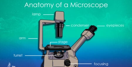 Anatomy of microscopes