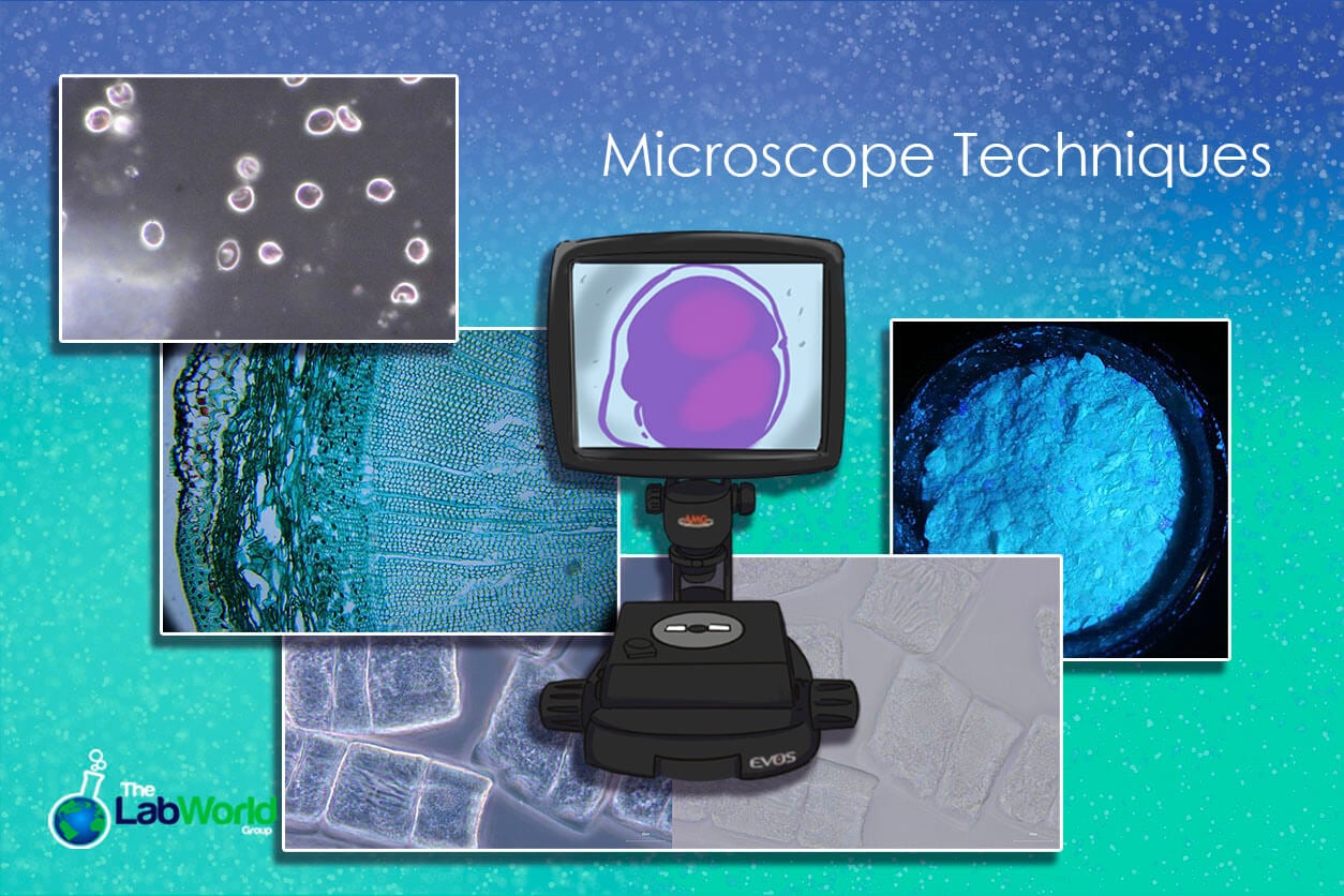 Microscope techniques