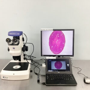 Zeiss stereo zoom microscope stemi 508 video