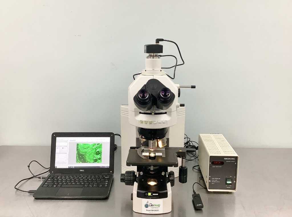 その他 iomagraphy Nikon Eclipse 80i Fluorescence Microscope - The Lab World Group